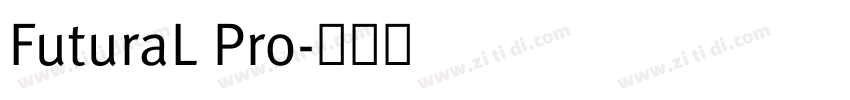 FuturaL Pro字体转换